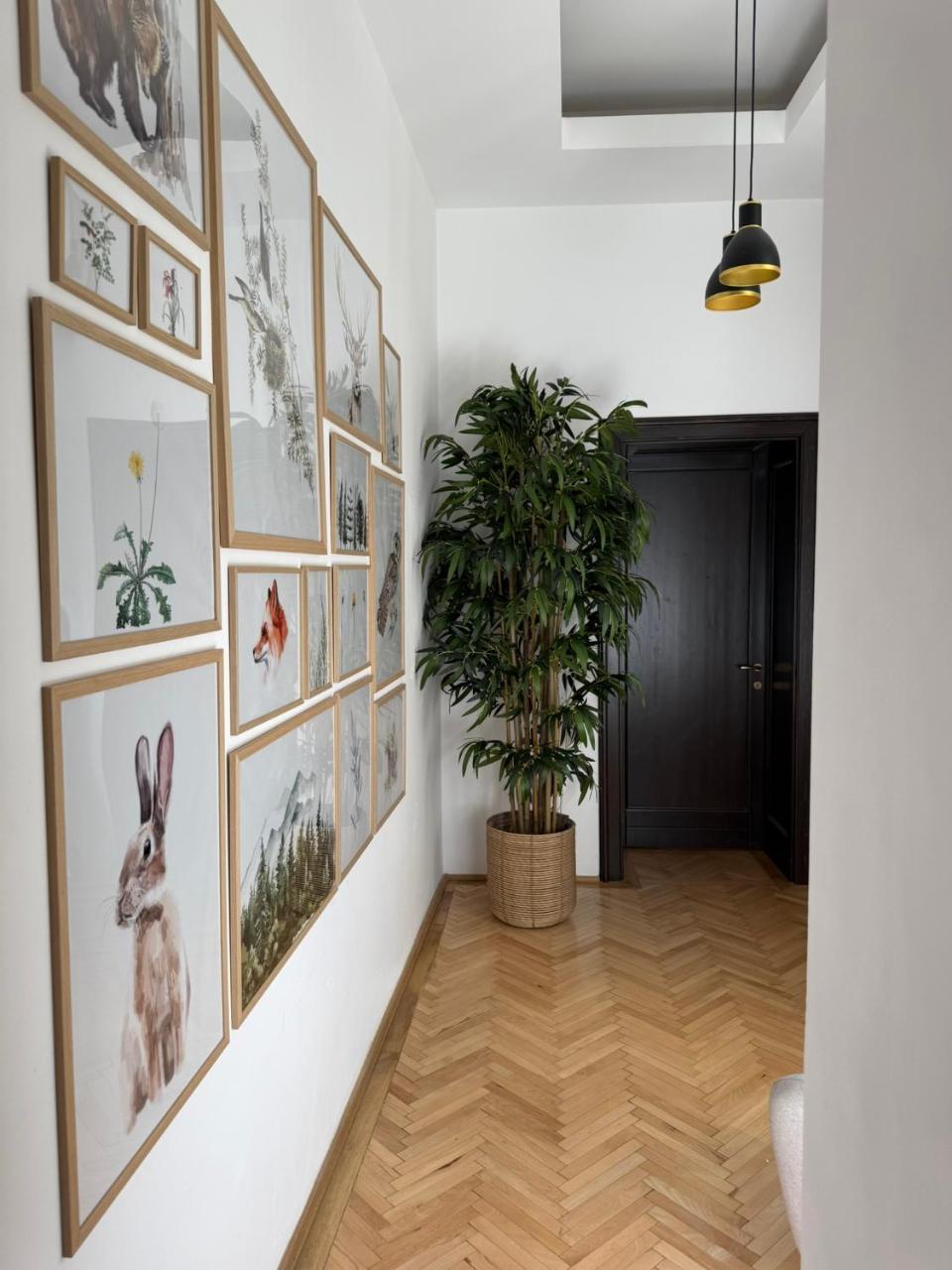 Nature-inspired Stay In Piata Sfatului Brasov