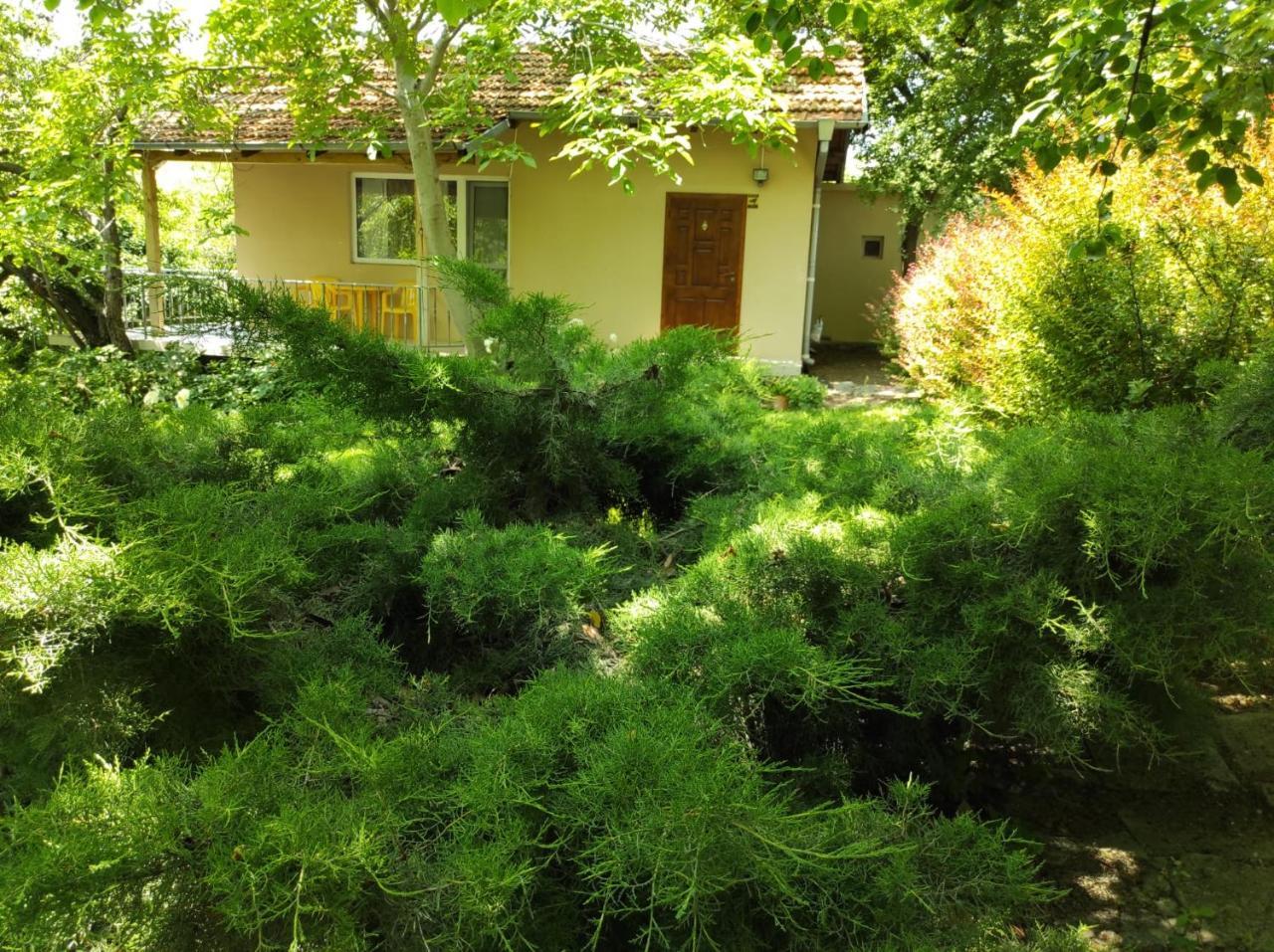 A Charming & Peaceful Summer Villa 400m From The Sea