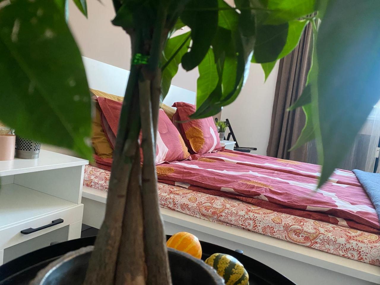 Apartment Ps