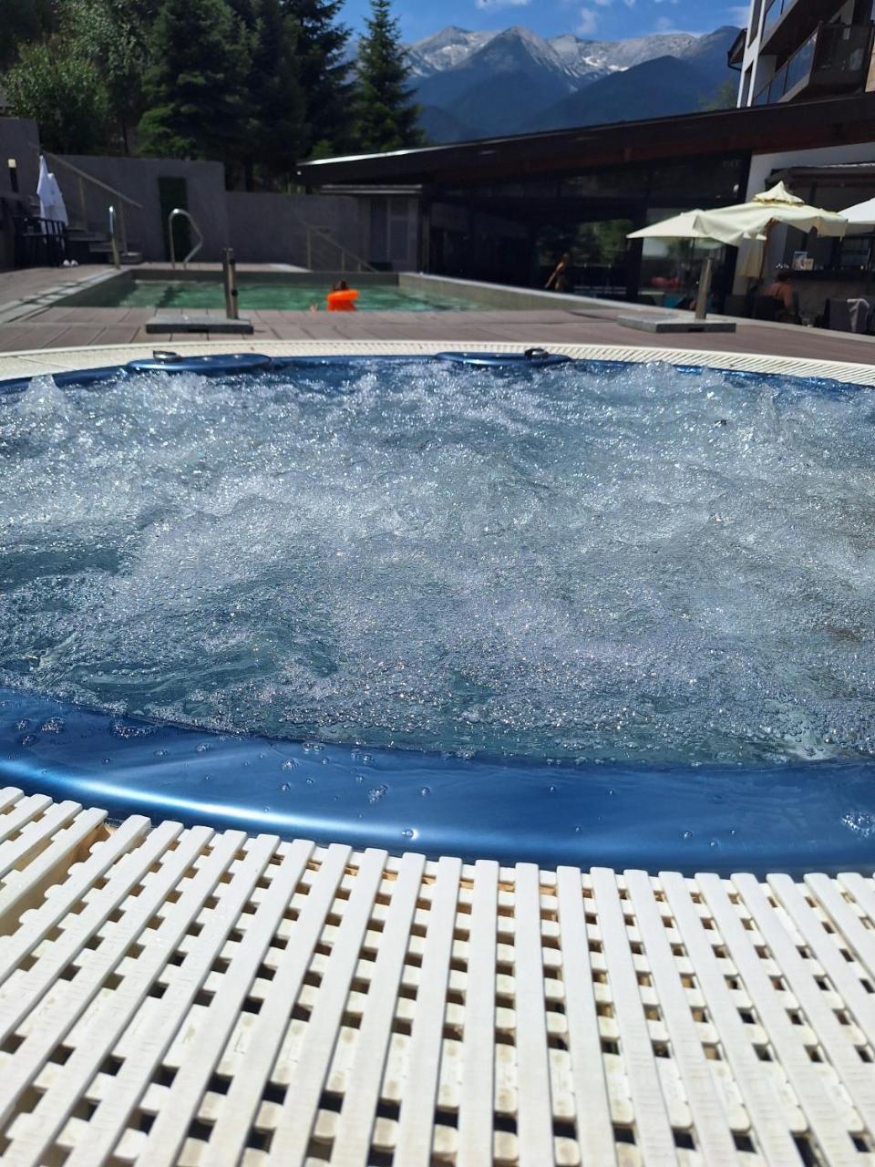 Studio Deluxe King With Mountain View & Spa Rilski