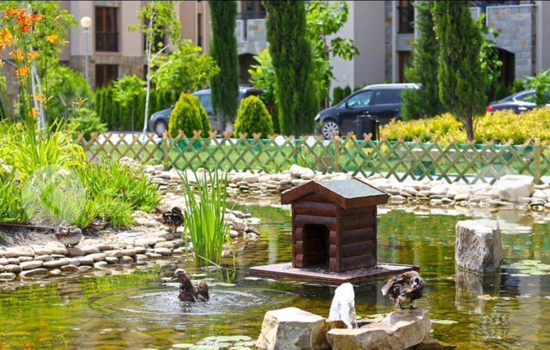 Dream Cascadas Slynchev Brqg