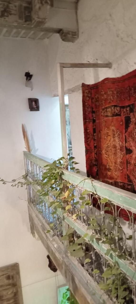 Ivanka Guest House