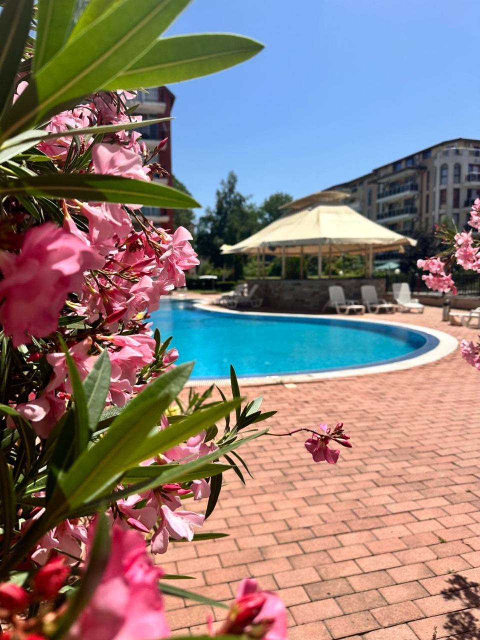 Apartment Nani Sunny Beach