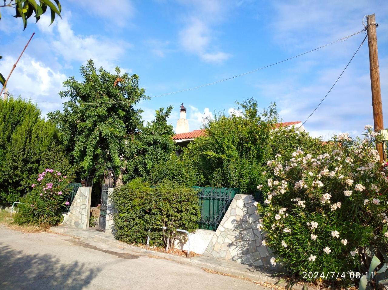 The Lemon House by The Sea