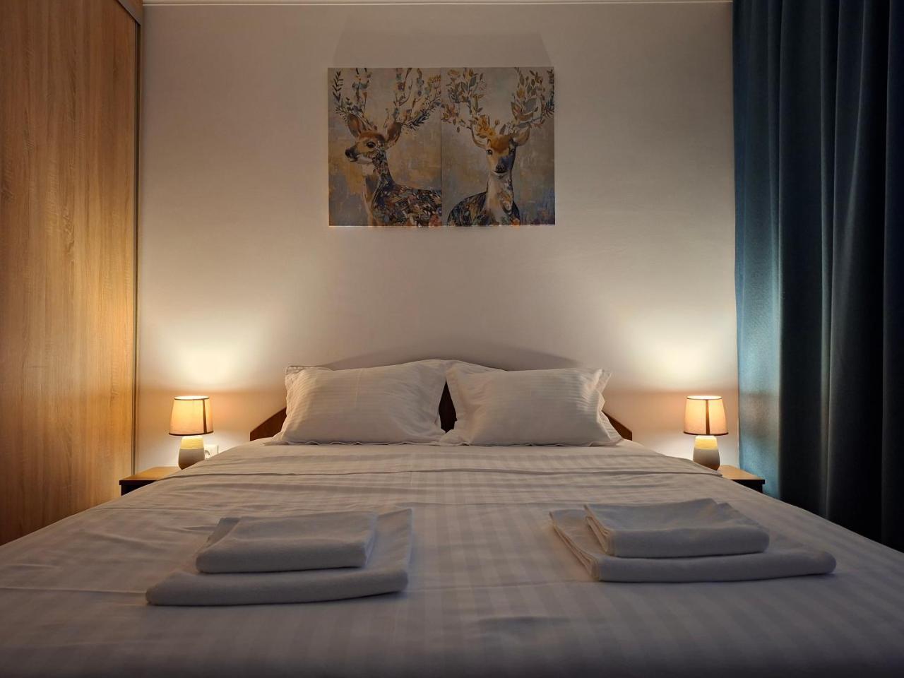 Parliament View 2br Heart Of Bucharest Free Minibar