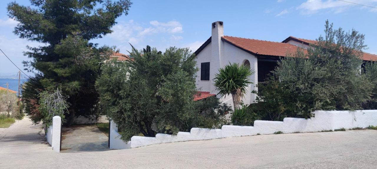 Sylvia S House At Vagia