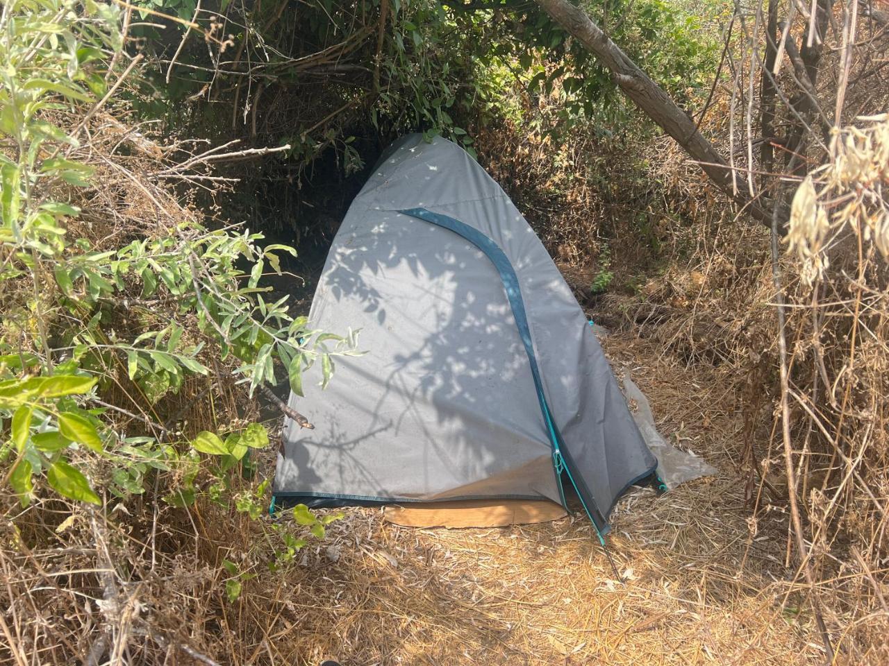 Palatka Na Kara Dere