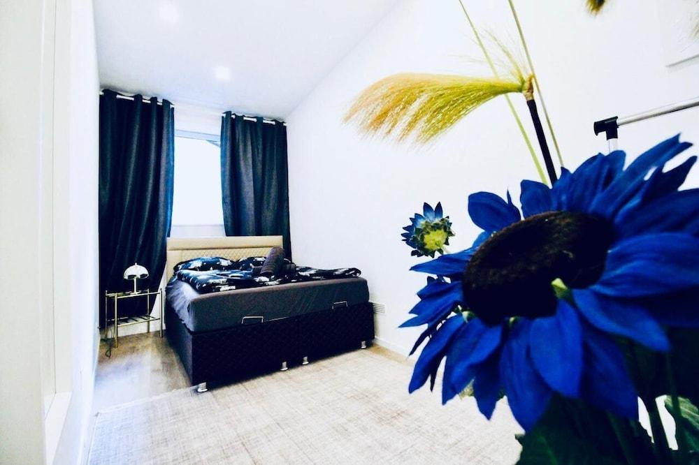 Cozy 2br & Living Room Apt For 6