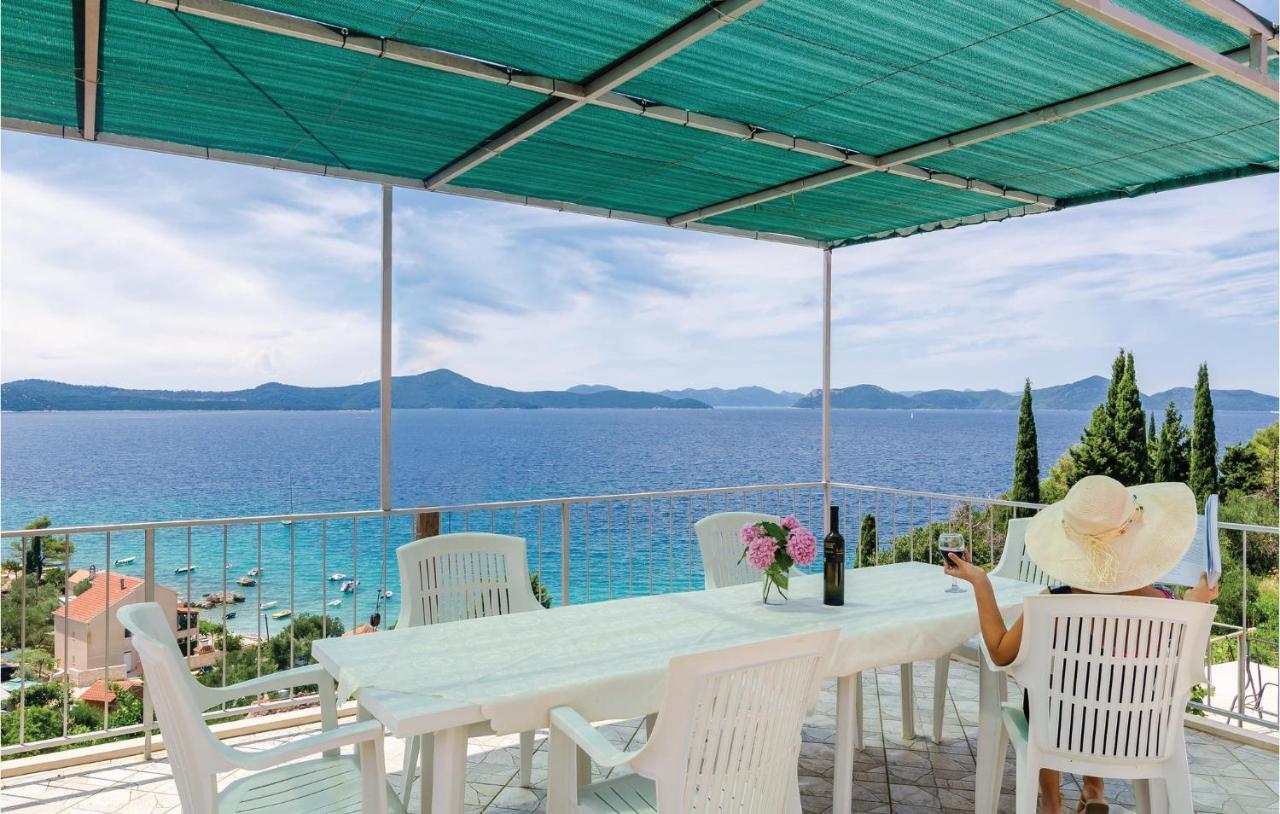 Holiday Home Sladenovici Iv