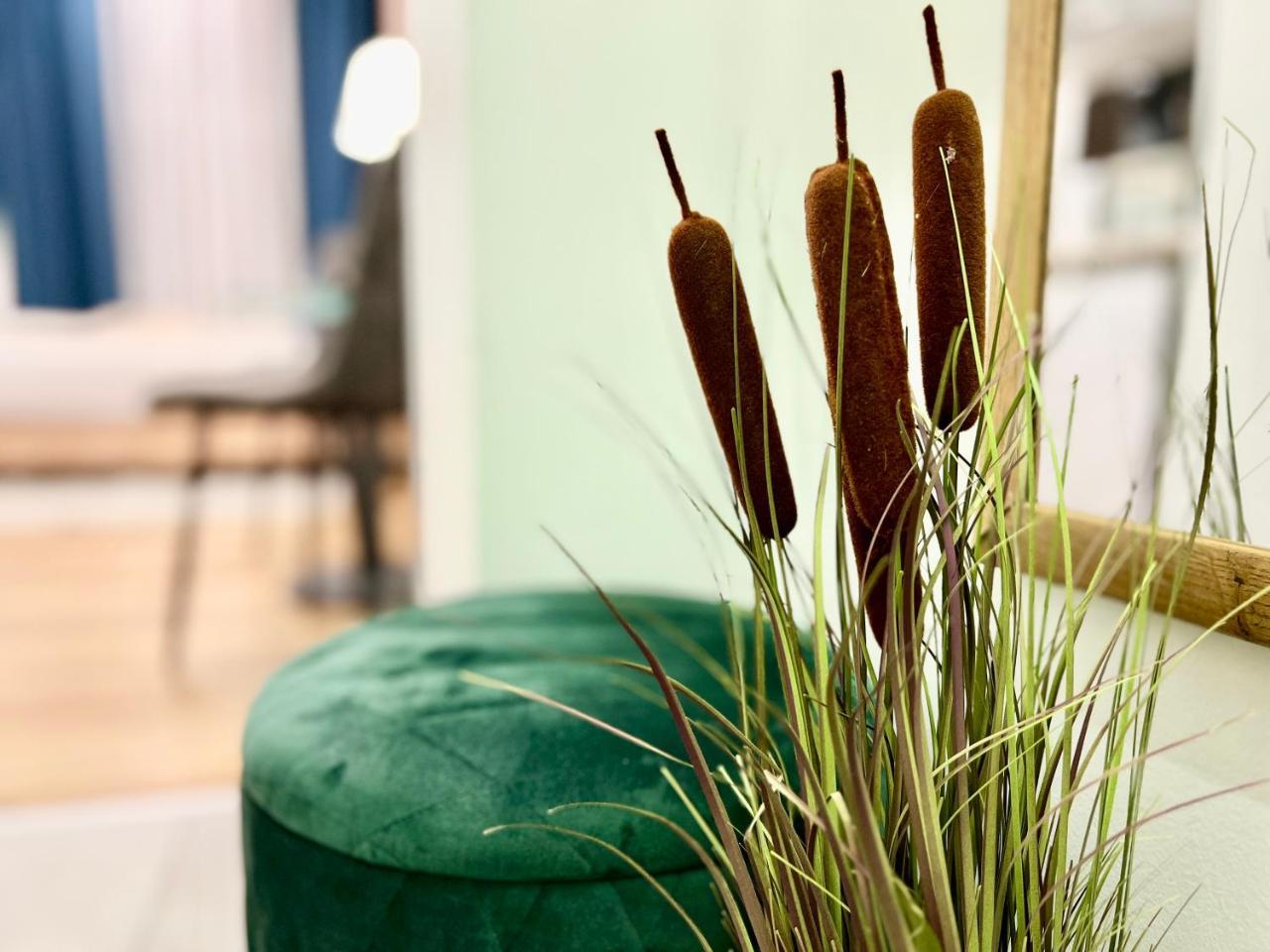 Thewicki 1701 Wunderschone Apartments In Wien