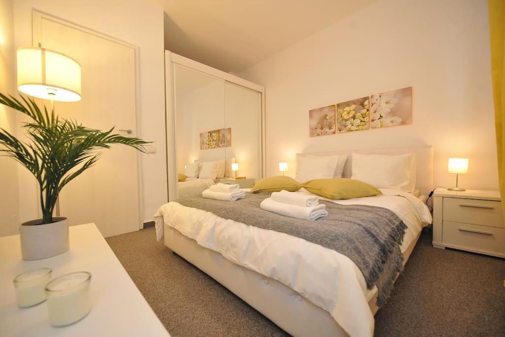 Excellent Price For A Family Or Group Of Travelers