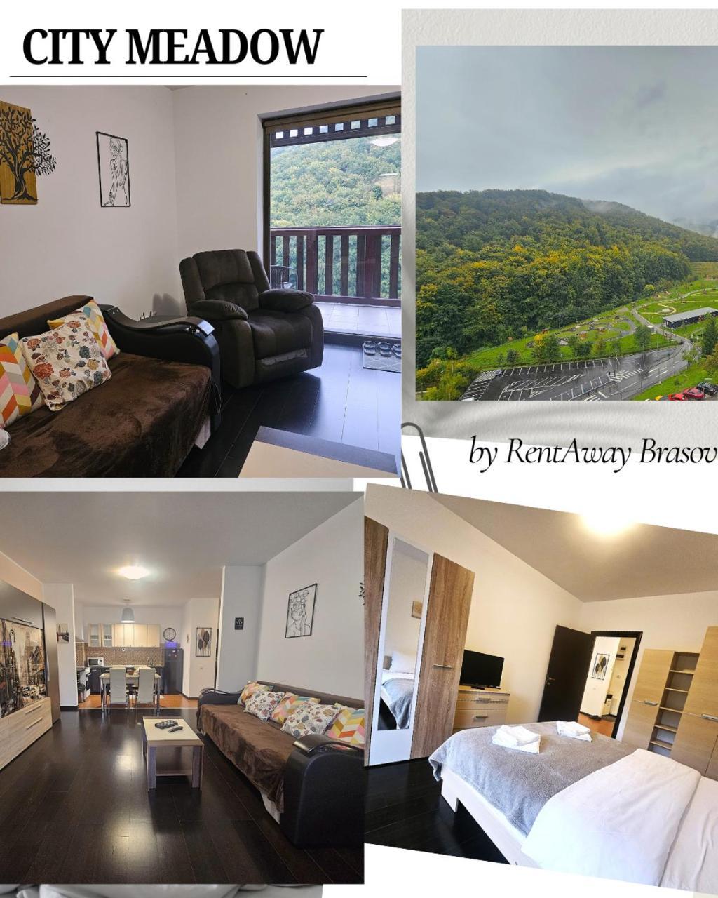 City Meadow Apartment