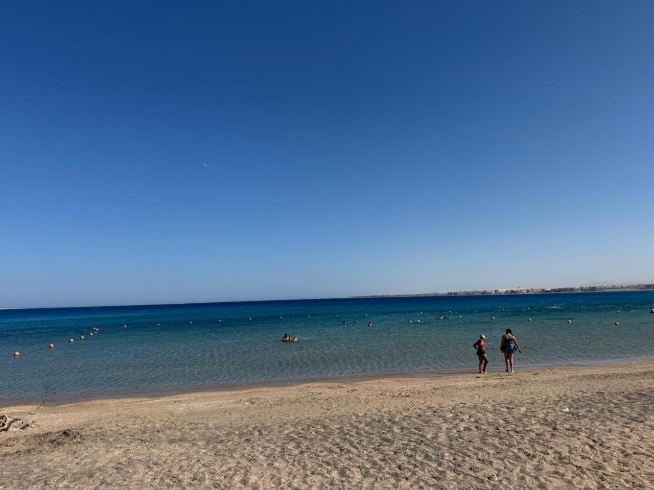 Panorama View