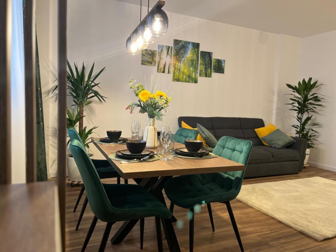 Elite Xcity Timisoara Apartament Premium