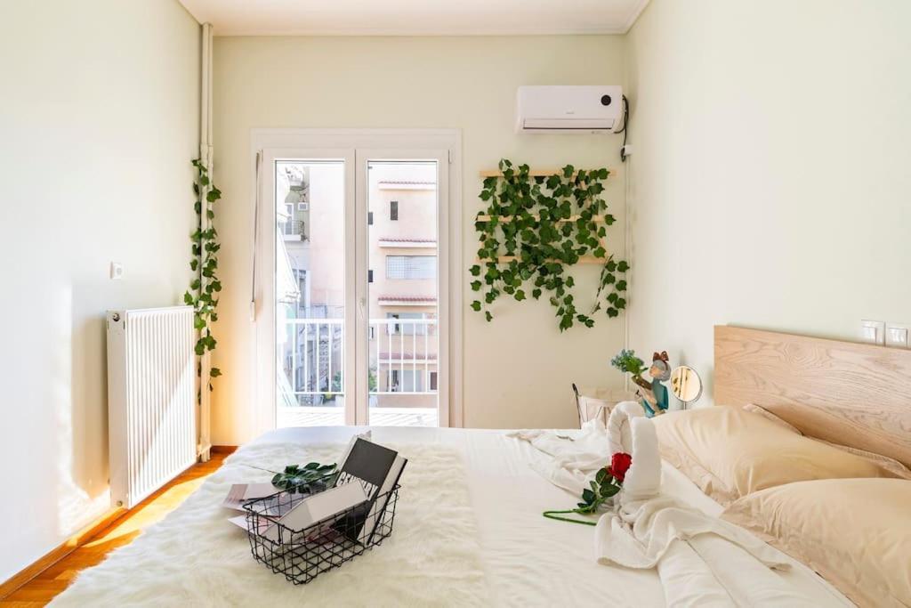 Heko Collection Koukaki