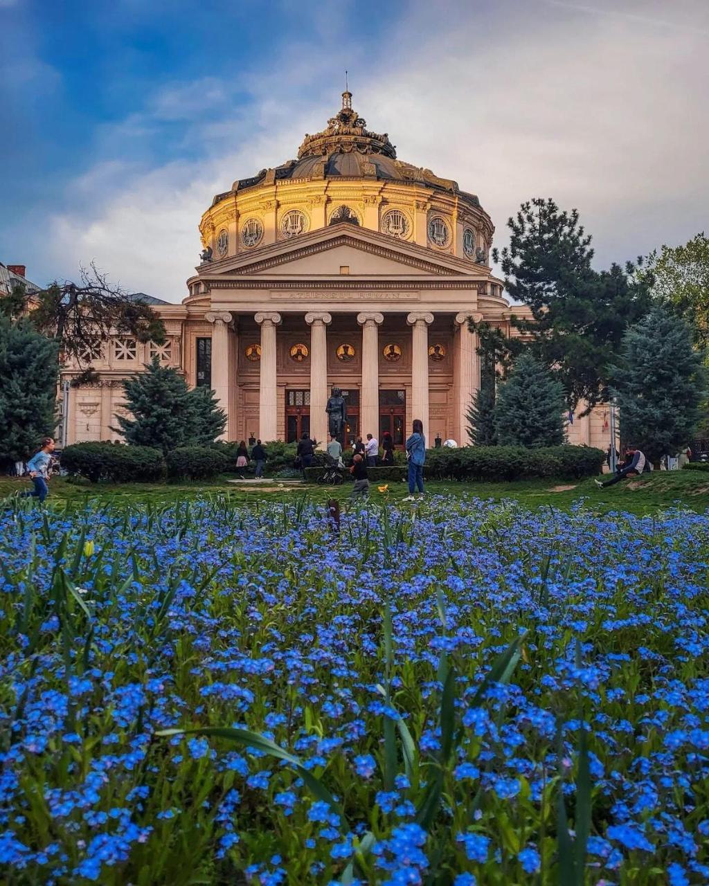 Black Iris Central Apartment Cismigiu Park