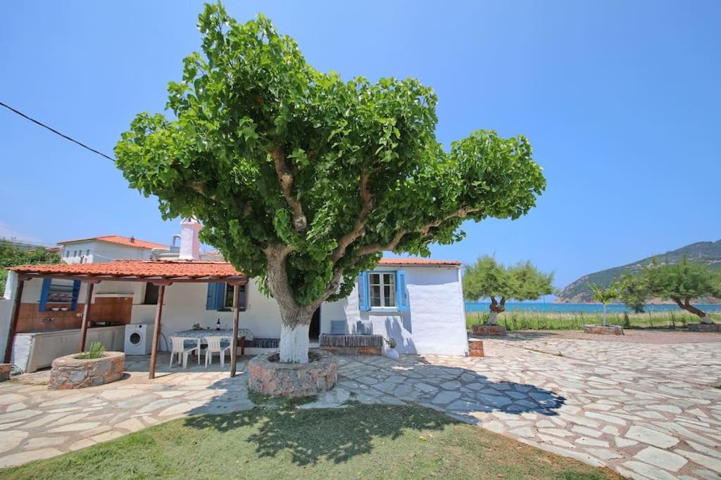Skopelos Beach House