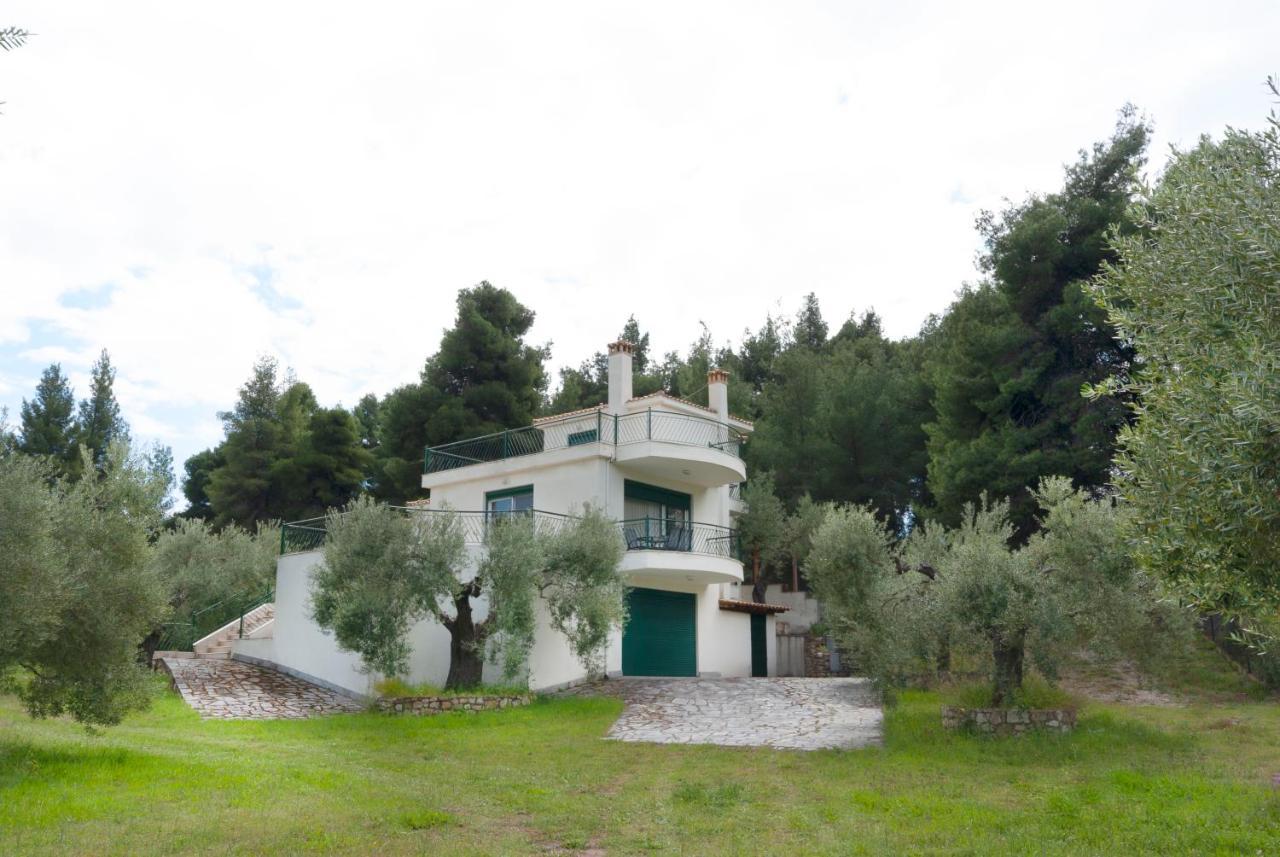 Nature Green House by Rentalspro Akti Elias Halkidiki