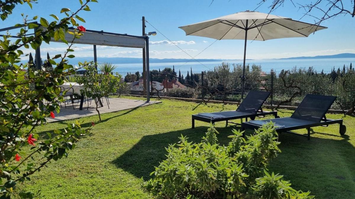 Mediterranean House Forest Marjan