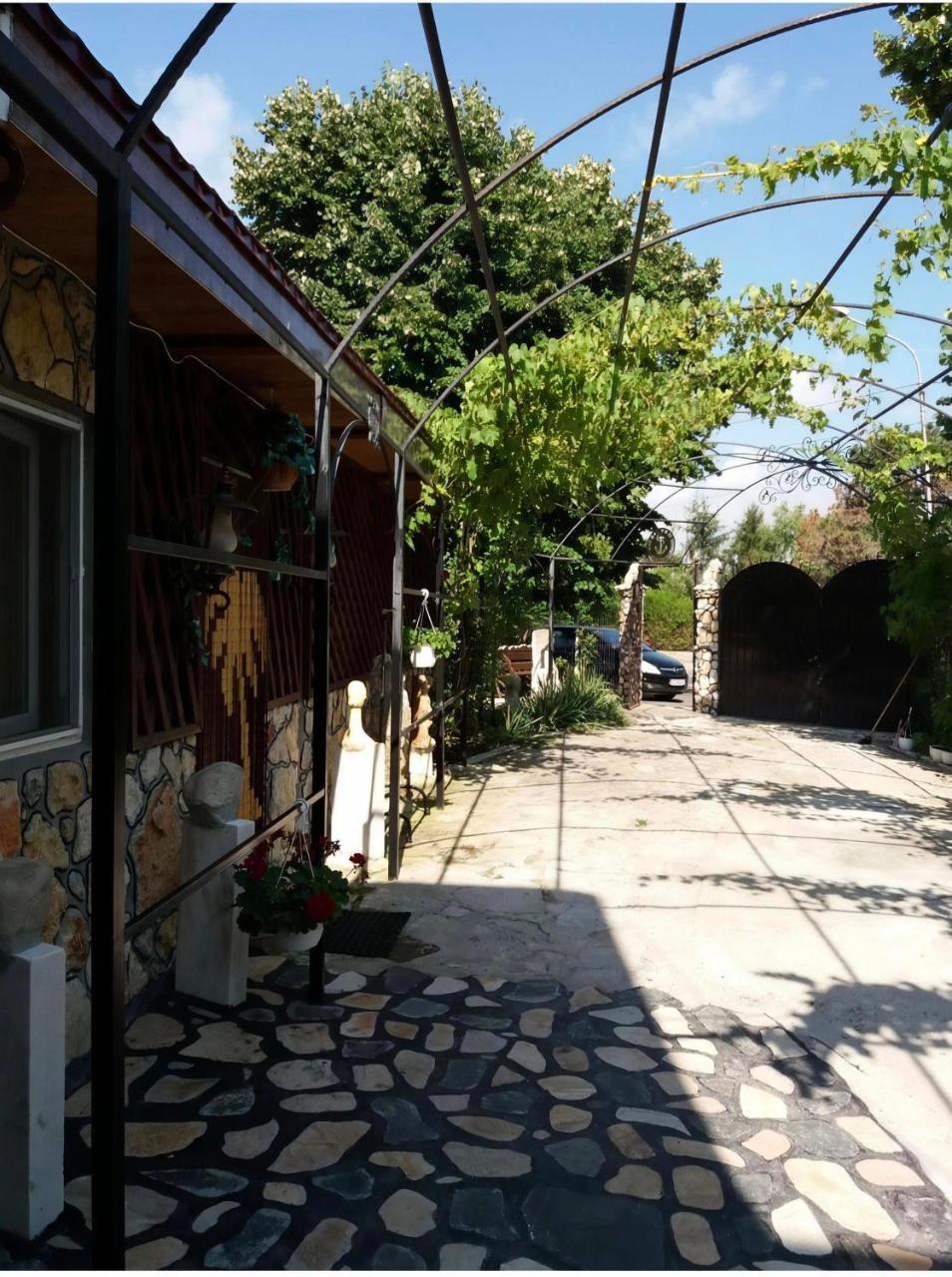 Mavros Studio1