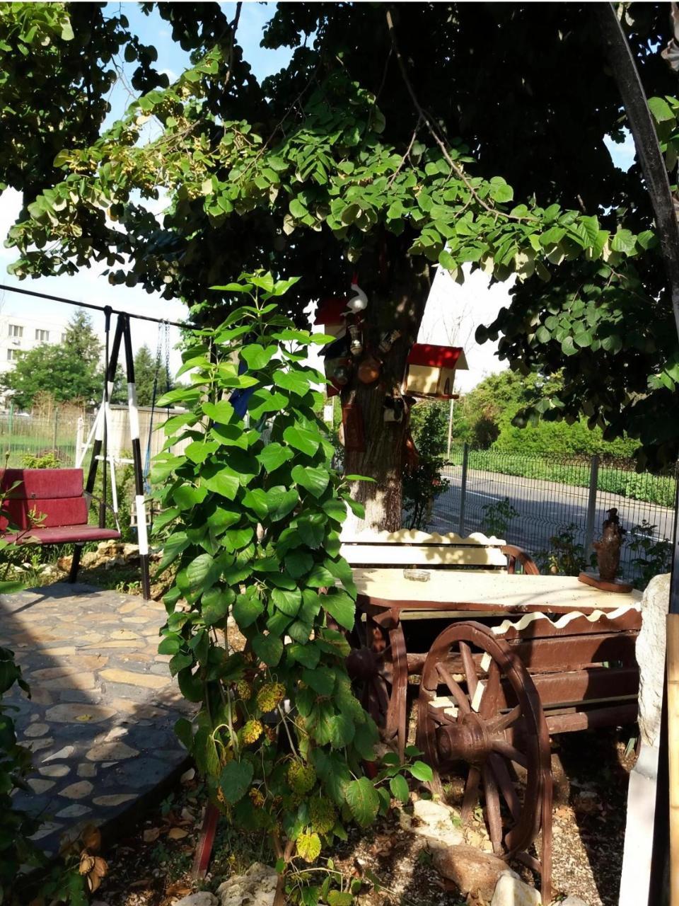 Mavros Studio1