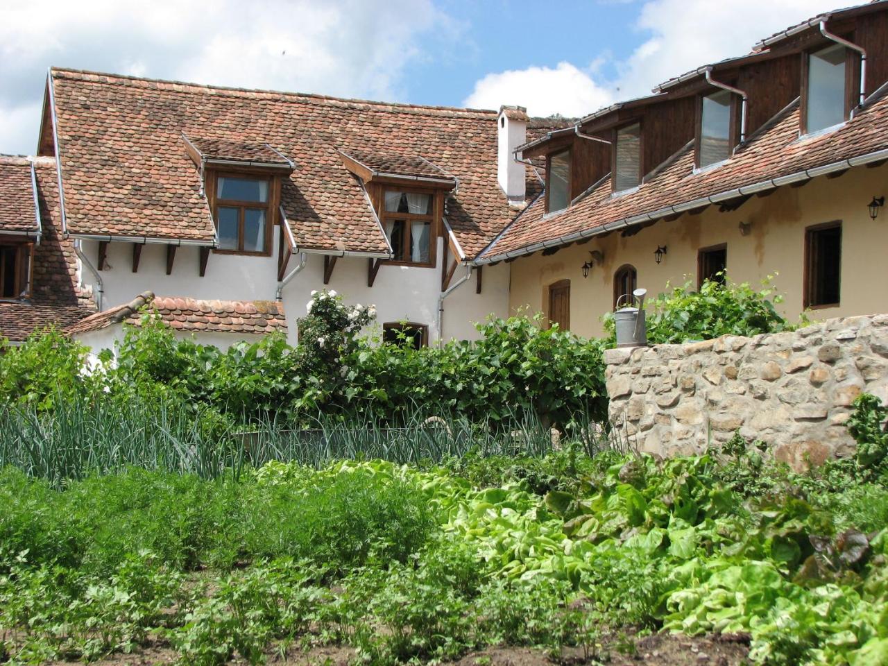 Convivium Transylvania