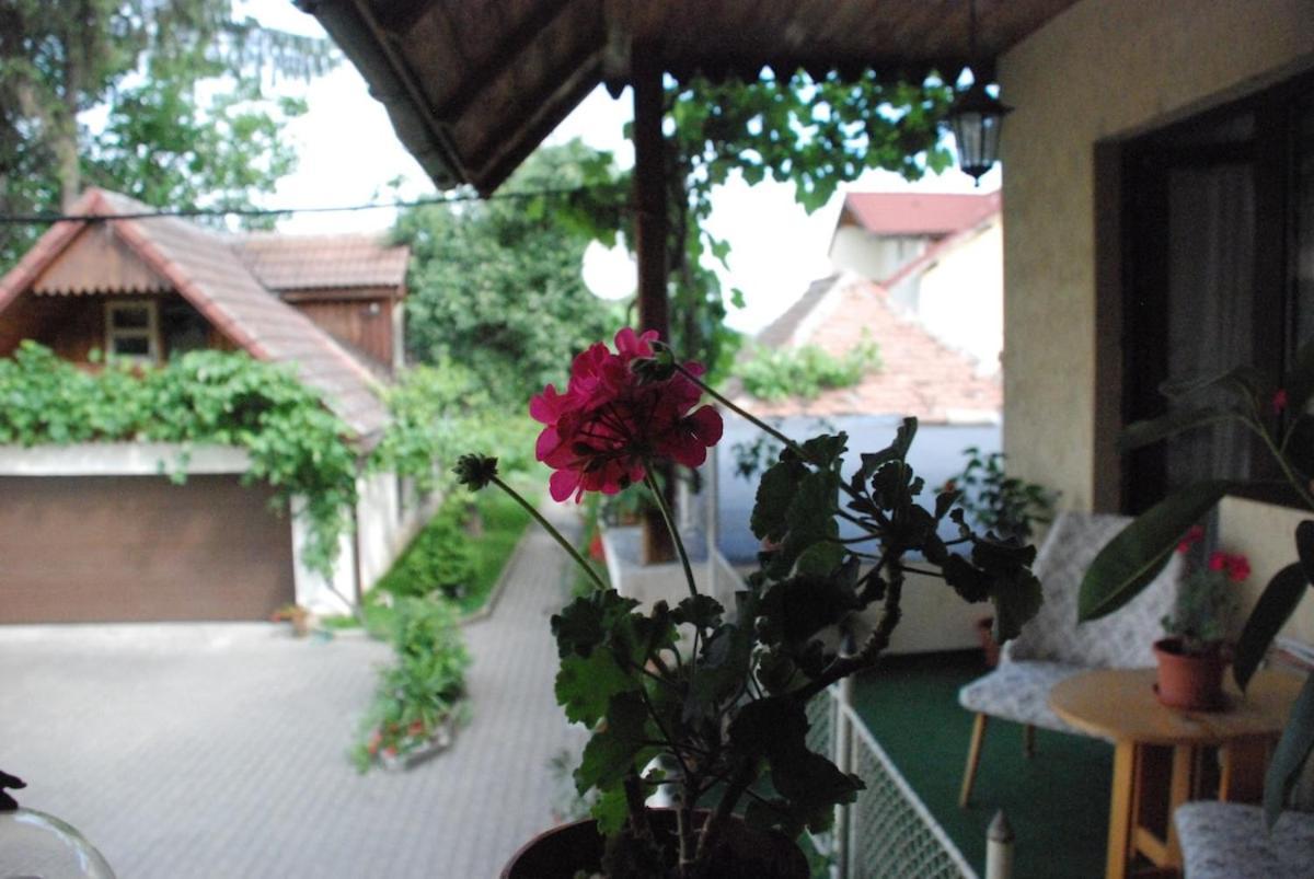 Saxon House & Garden Half Villa
