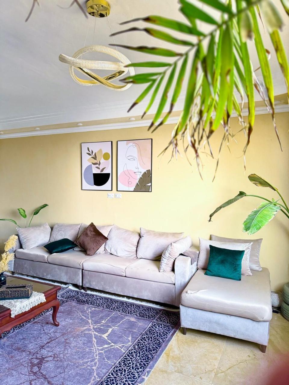 Cozy Stay in Maadi