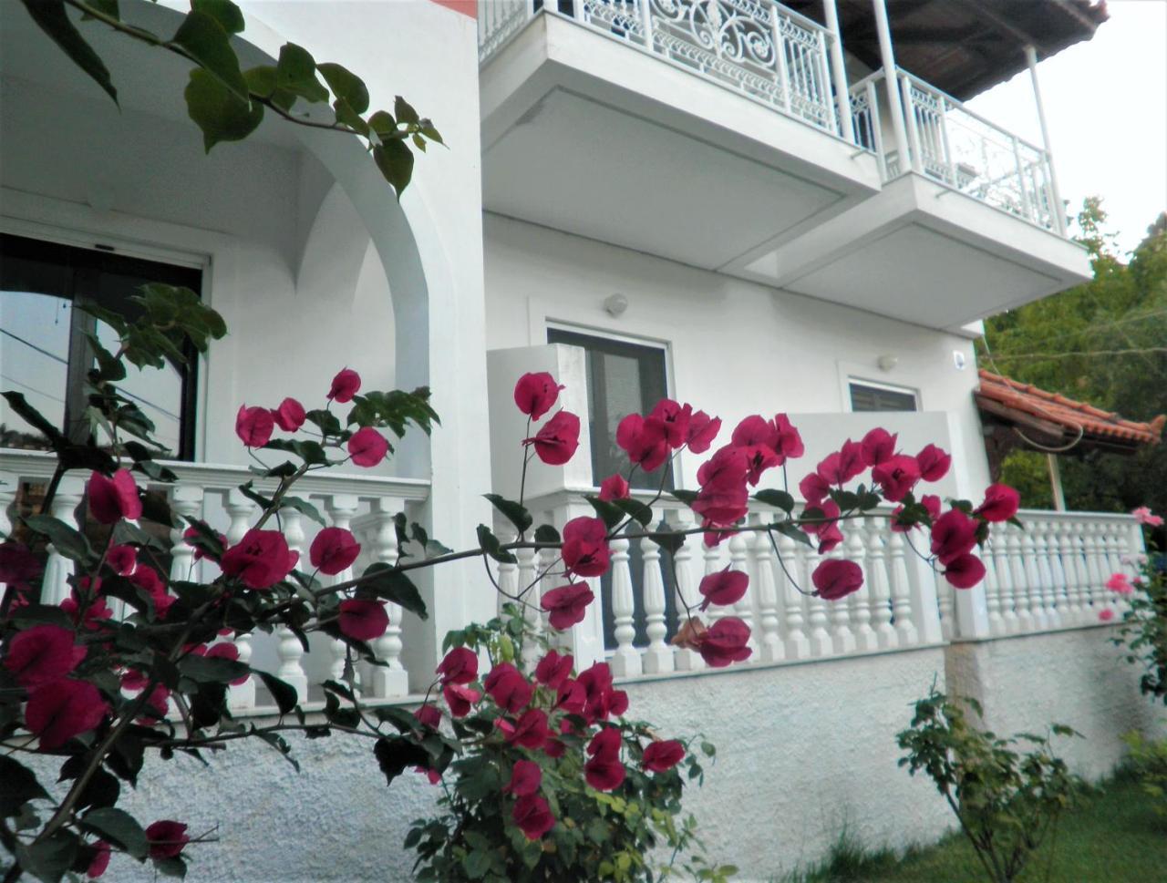 Aktipis Studios