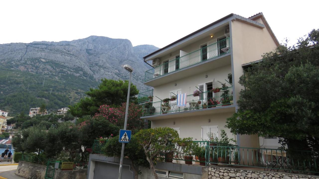 Apartments Caleta
