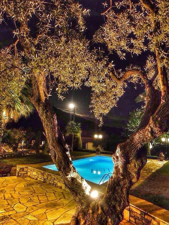 Villa Olive