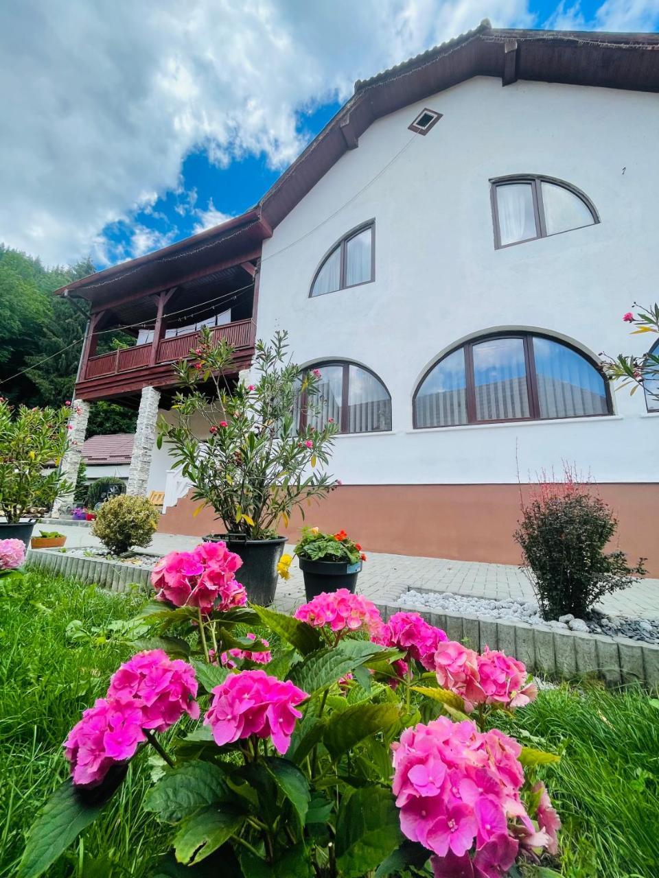 Casa Pote