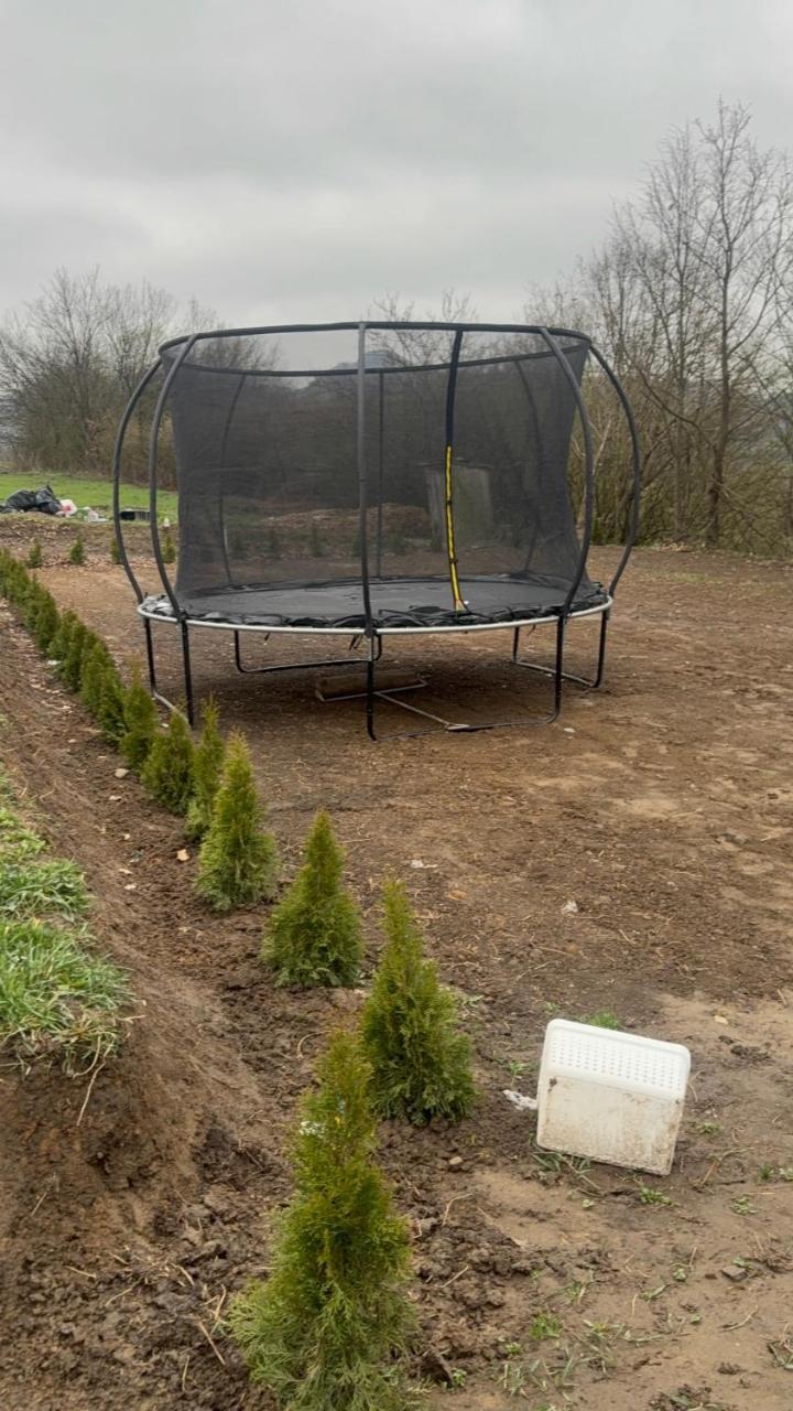 Horse Garden