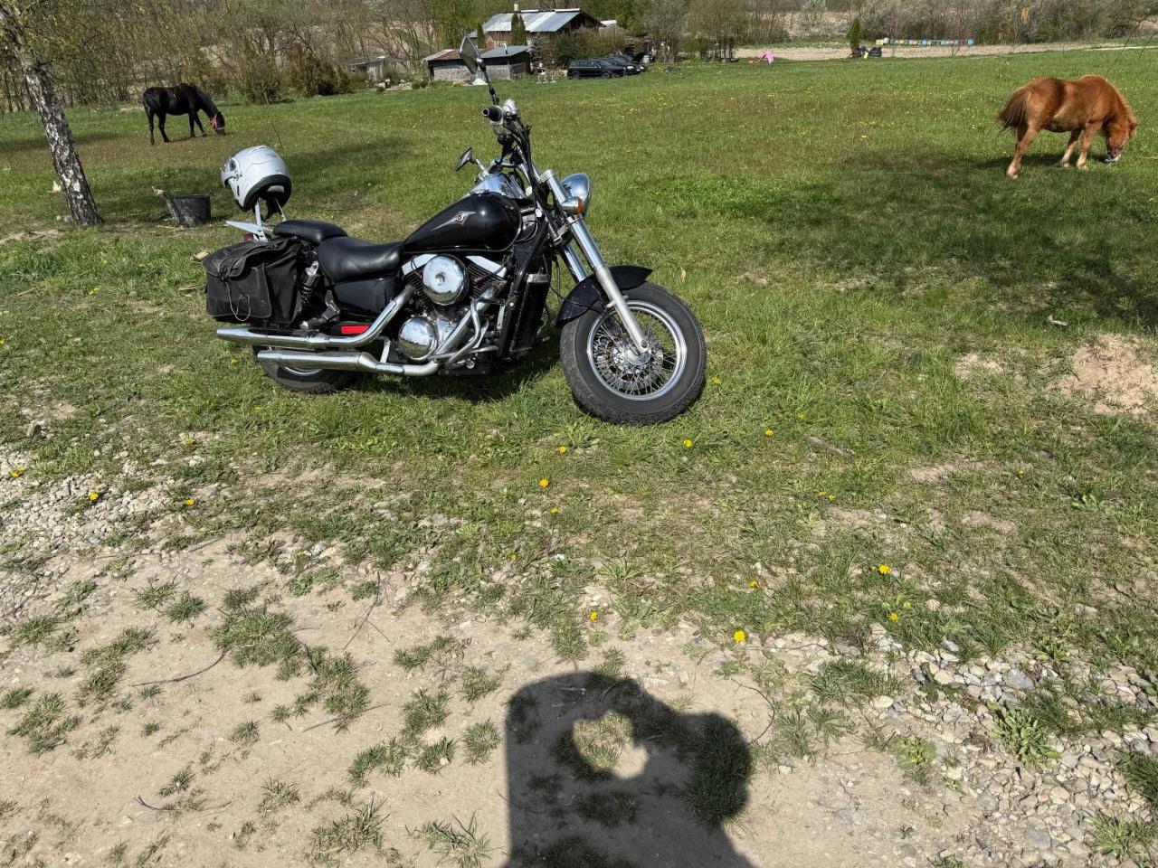 Horse Garden