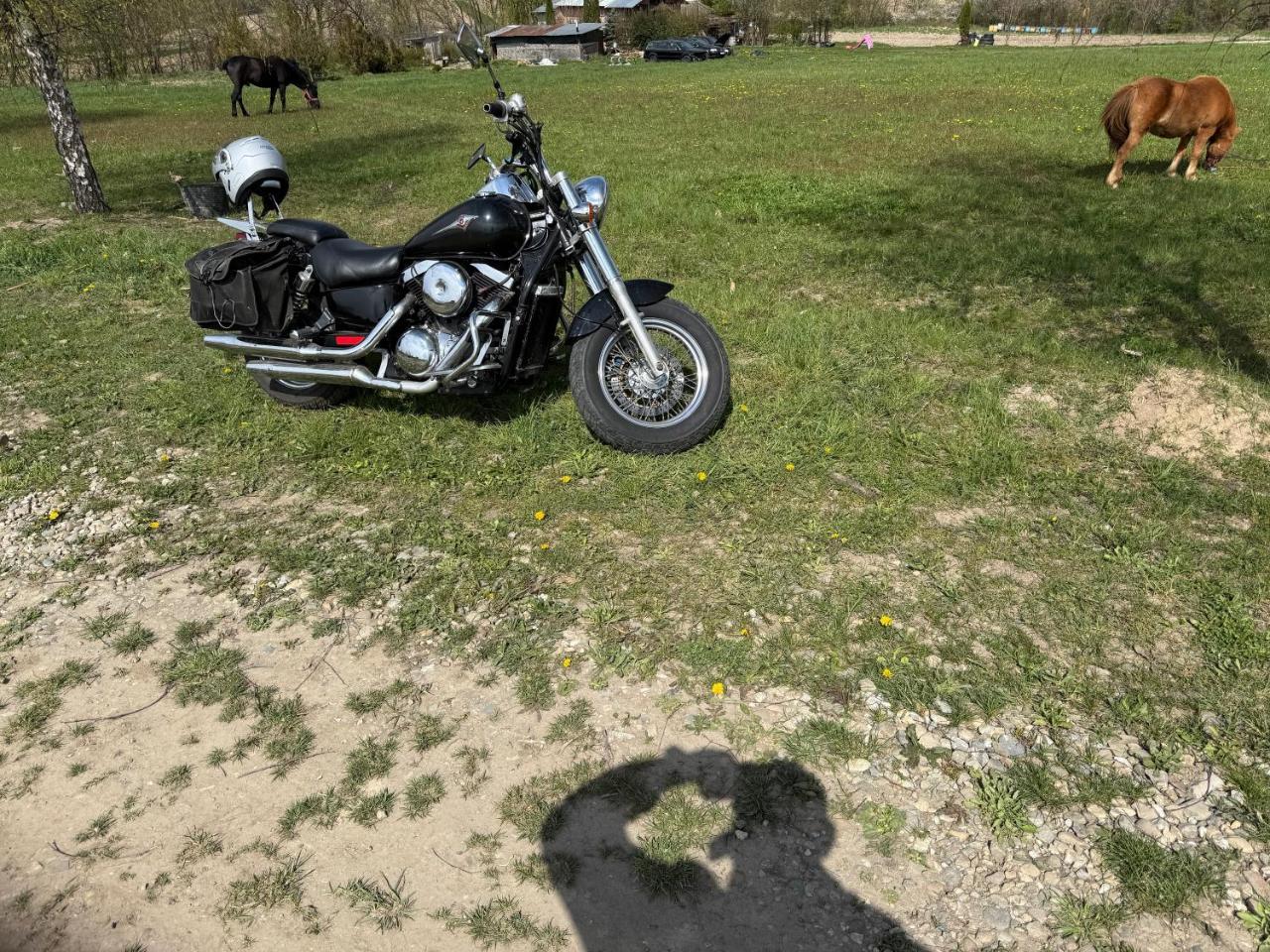 Horse Garden
