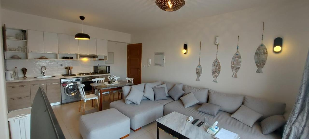 Marina Marassi