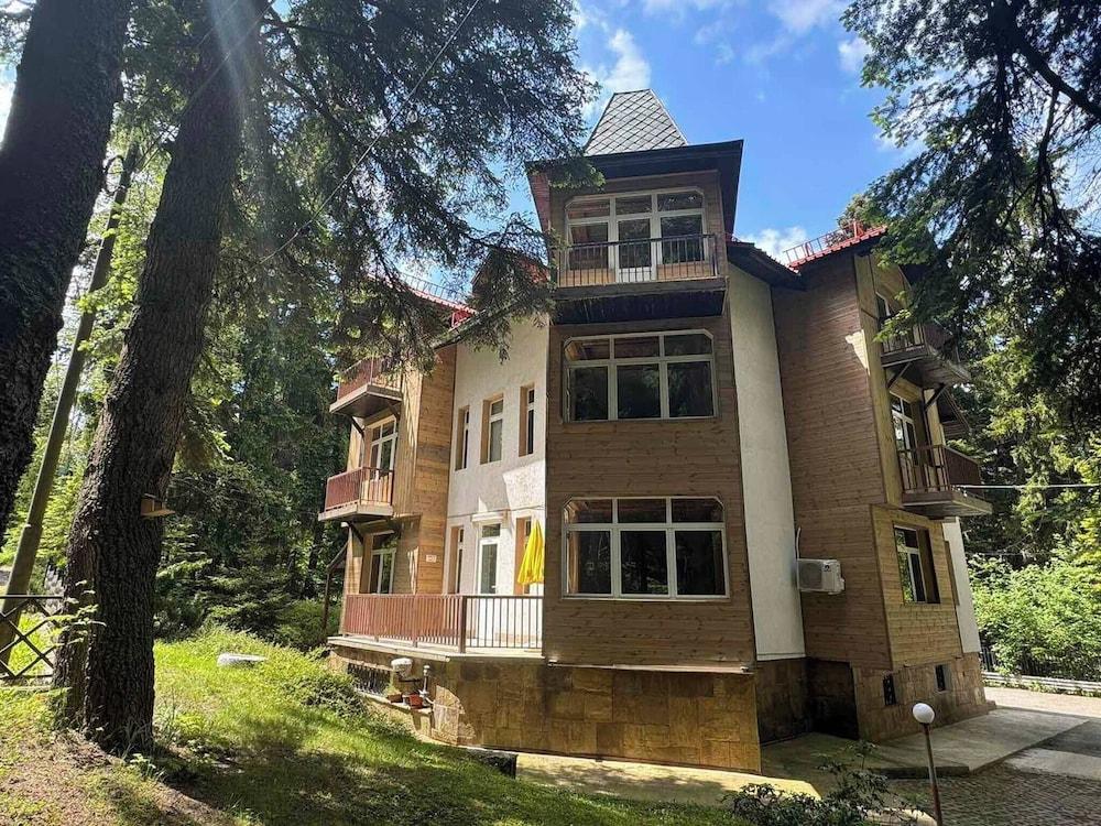 The Luxurious Forest Villa Borovets 8 Bedroom Chalet